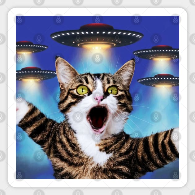 Selfie of Funny Cat And Aliens UFOs 3 Sticker by Megadorim